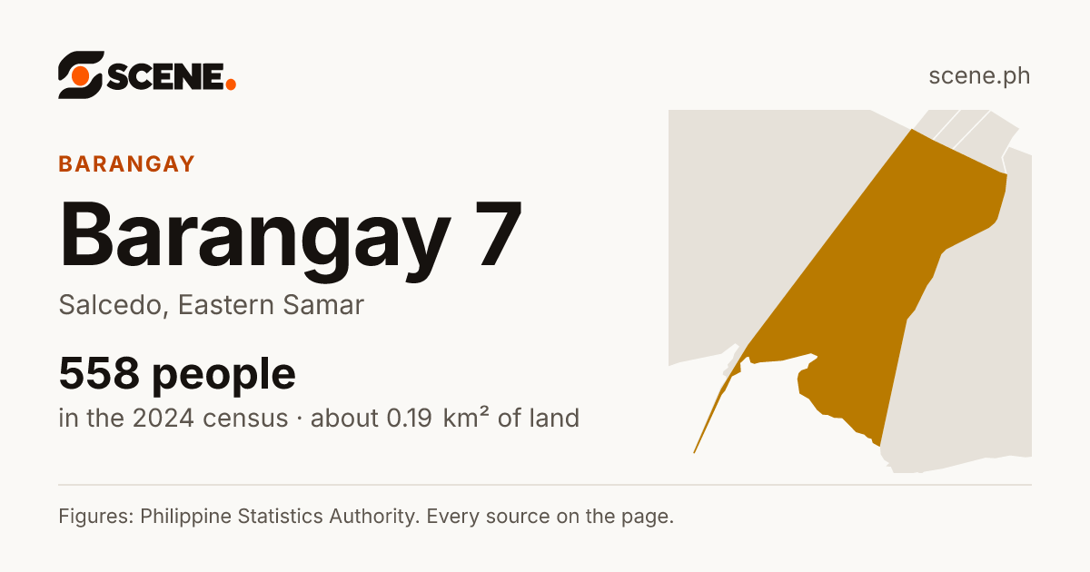 Barangay 7, Salcedo, barangay: 558 people in the 2024 census