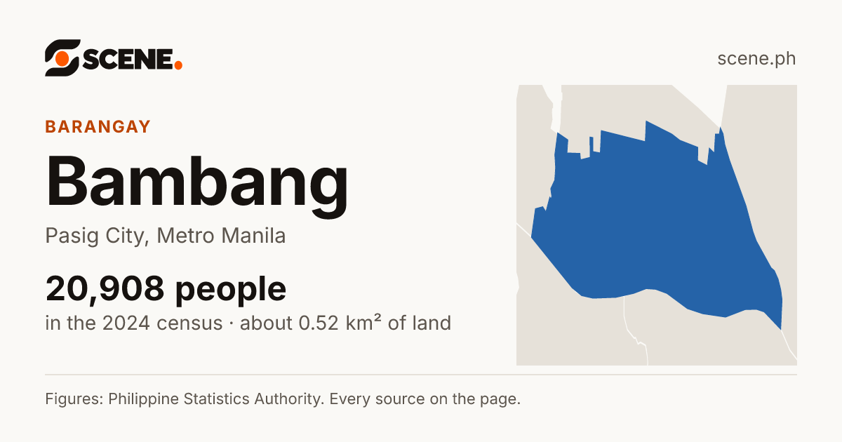 Bambang, Pasig City, barangay: 20,908 people in the 2024 census