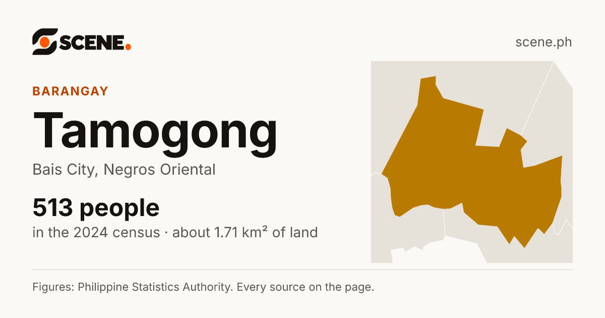 Tamogong, Bais City, barangay: 513 people in the 2024 census