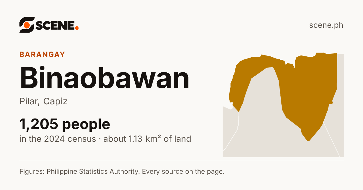 Binaobawan, Pilar, barangay: 1,205 people in the 2024 census