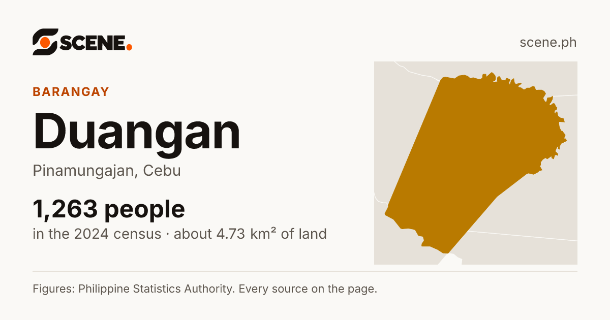 Duangan, Pinamungajan, barangay: 1,263 people in the 2024 census