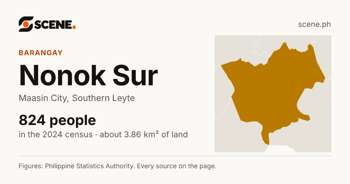 Nonok Sur, Maasin City, barangay: 824 people in the 2024 census