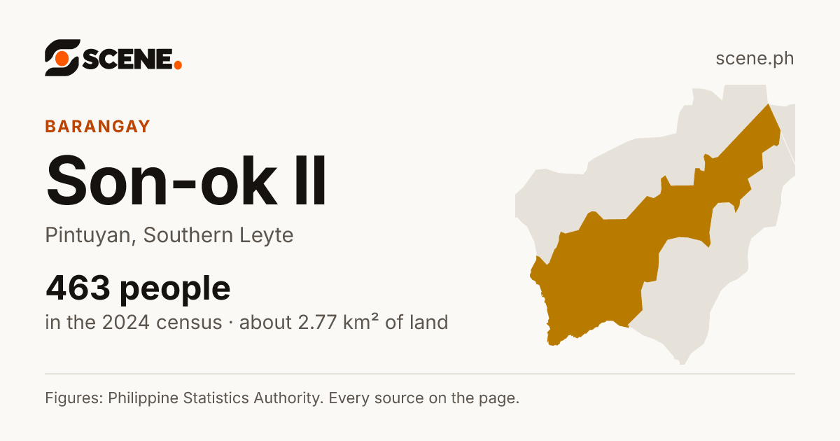Son-ok II, Pintuyan, barangay: 463 people in the 2024 census