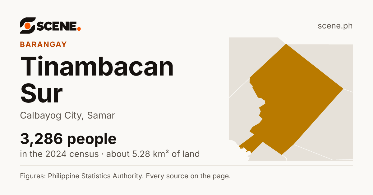 Tinambacan Sur, Calbayog City, barangay: 3,286 people in the 2024 census