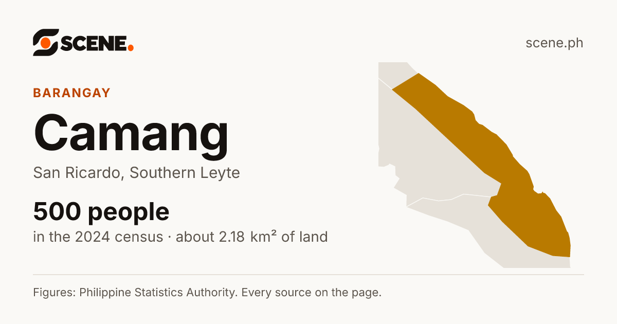Camang, San Ricardo, barangay: 500 people in the 2024 census