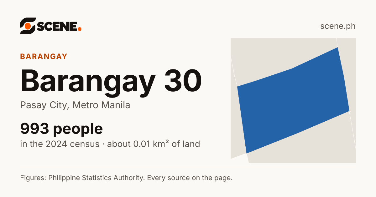 Barangay 30, Pasay City, barangay: 993 people in the 2024 census