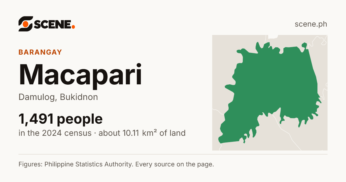 Macapari, Damulog, barangay: 1,491 people in the 2024 census