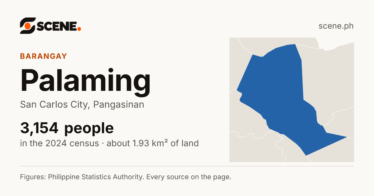 Palaming, San Carlos City, barangay: 3,154 people in the 2024 census