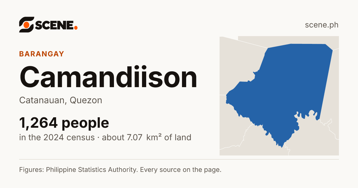 Camandiison, Catanauan, barangay: 1,264 people in the 2024 census