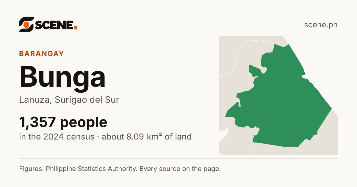 Bunga, Lanuza, barangay: 1,357 people in the 2024 census
