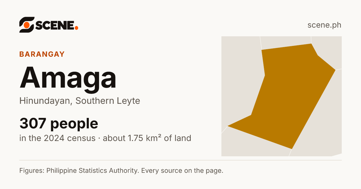 Amaga, Hinundayan, barangay: 307 people in the 2024 census