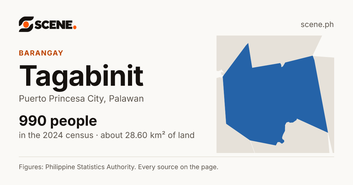 Tagabinit, Puerto Princesa City, barangay: 990 people in the 2024 census