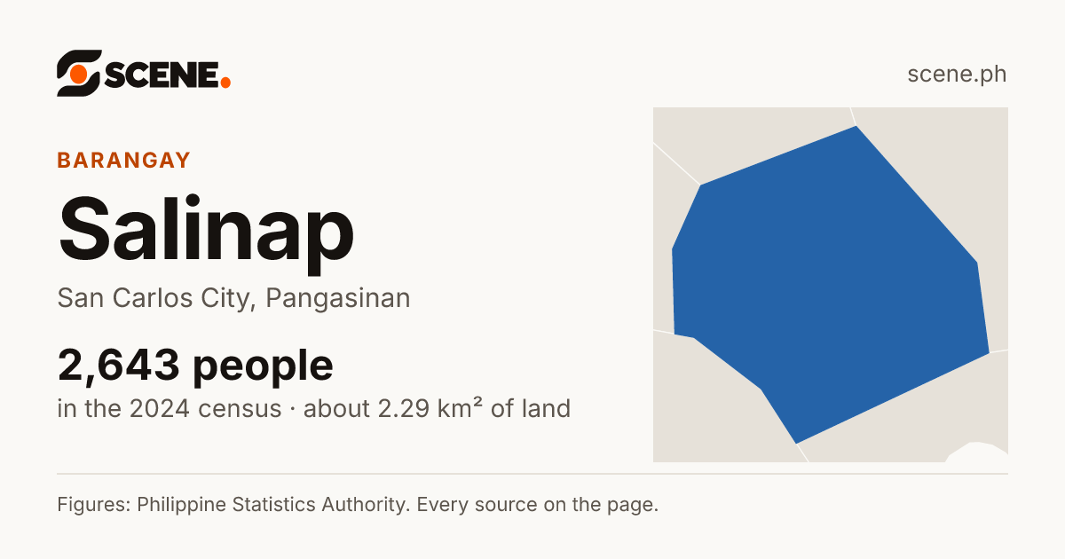 Salinap, San Carlos City, barangay: 2,643 people in the 2024 census