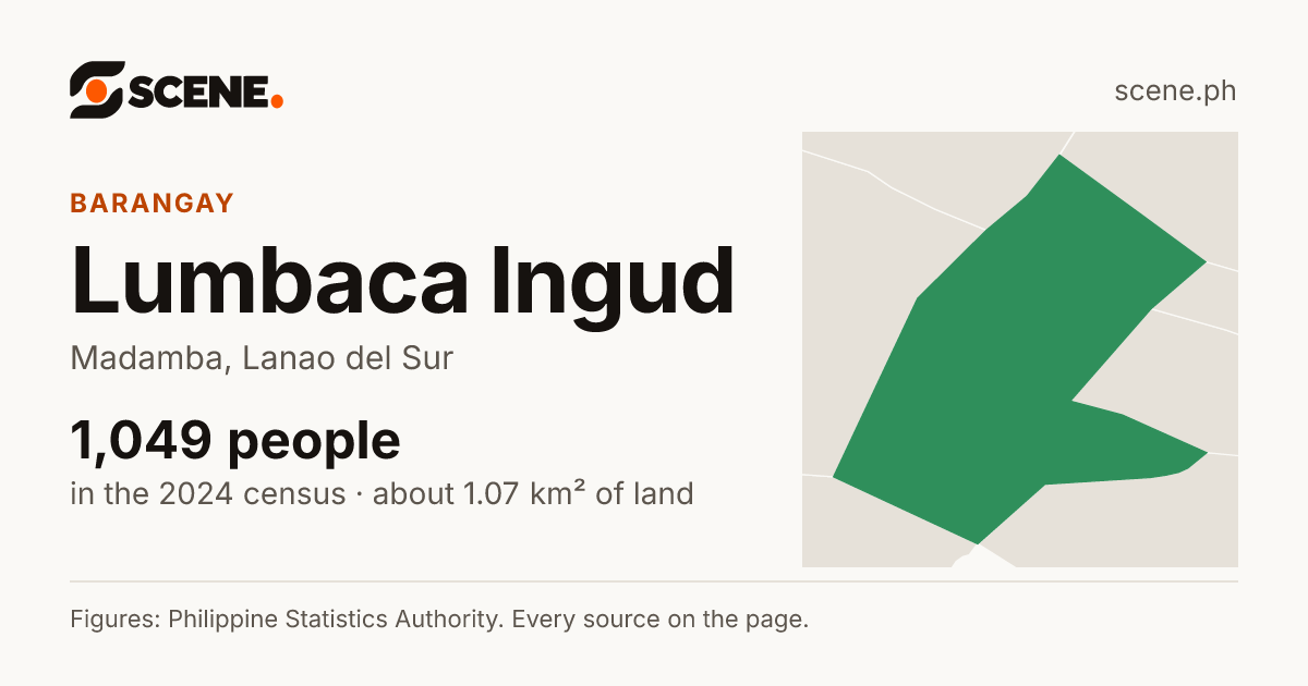 Lumbaca Ingud, Madamba, barangay: 1,049 people in the 2024 census
