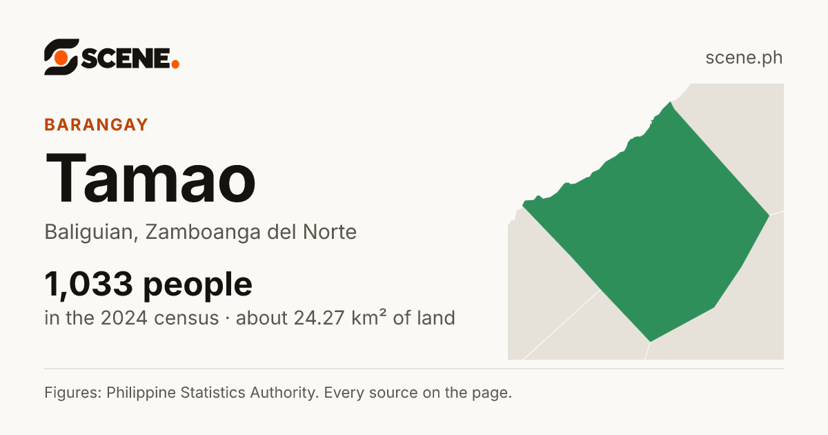 Tamao, Baliguian, barangay: 1,033 people in the 2024 census