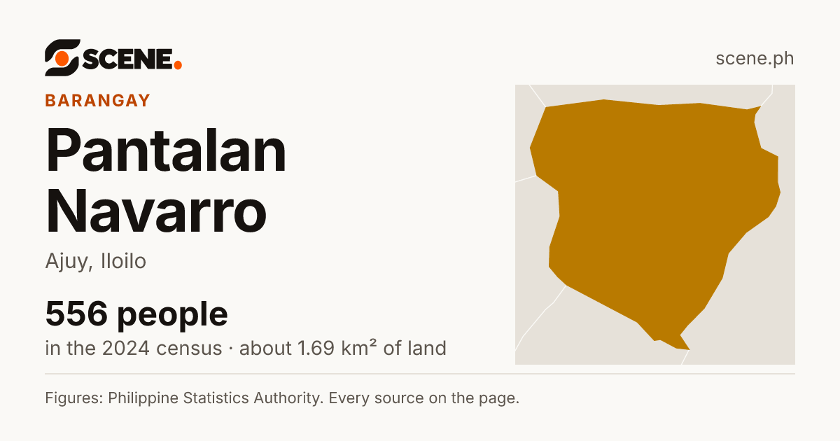 Pantalan Navarro, Ajuy, barangay: 556 people in the 2024 census