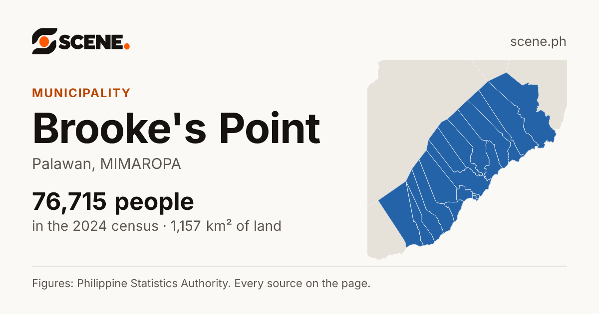 Brooke's Point, Palawan, municipality: 76,715 people in the 2024 census