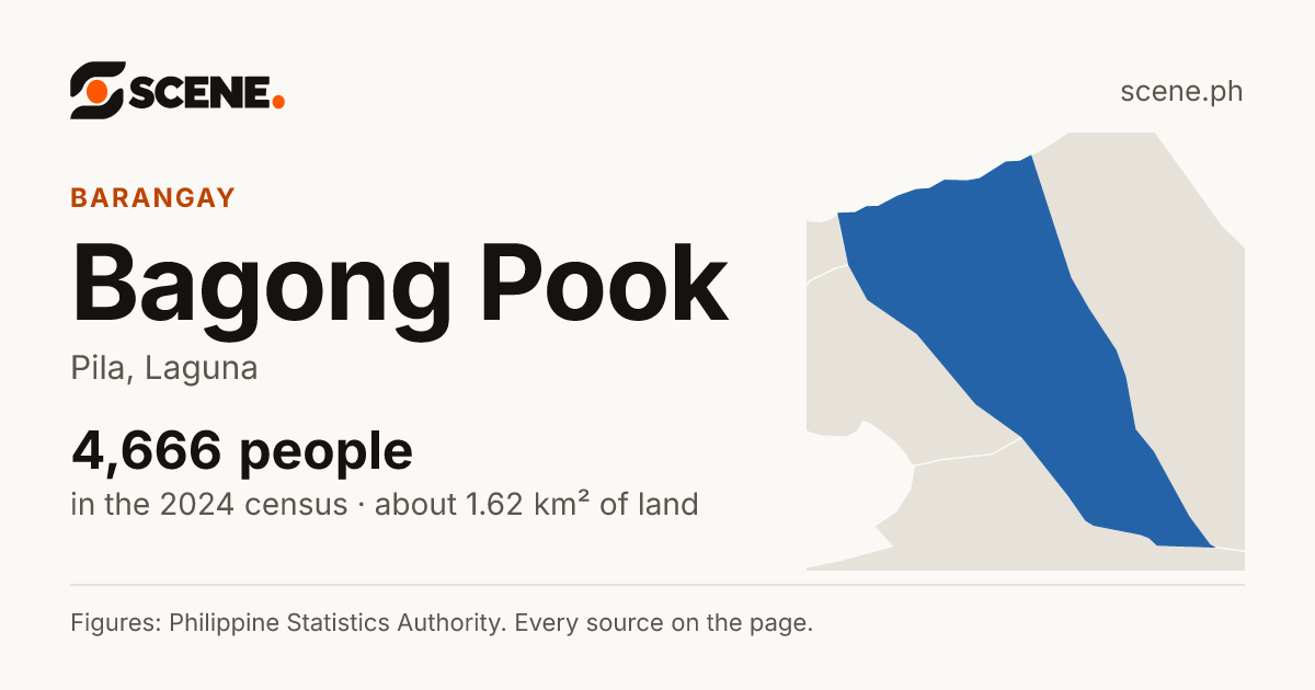 Bagong Pook, Pila, barangay: 4,666 people in the 2024 census