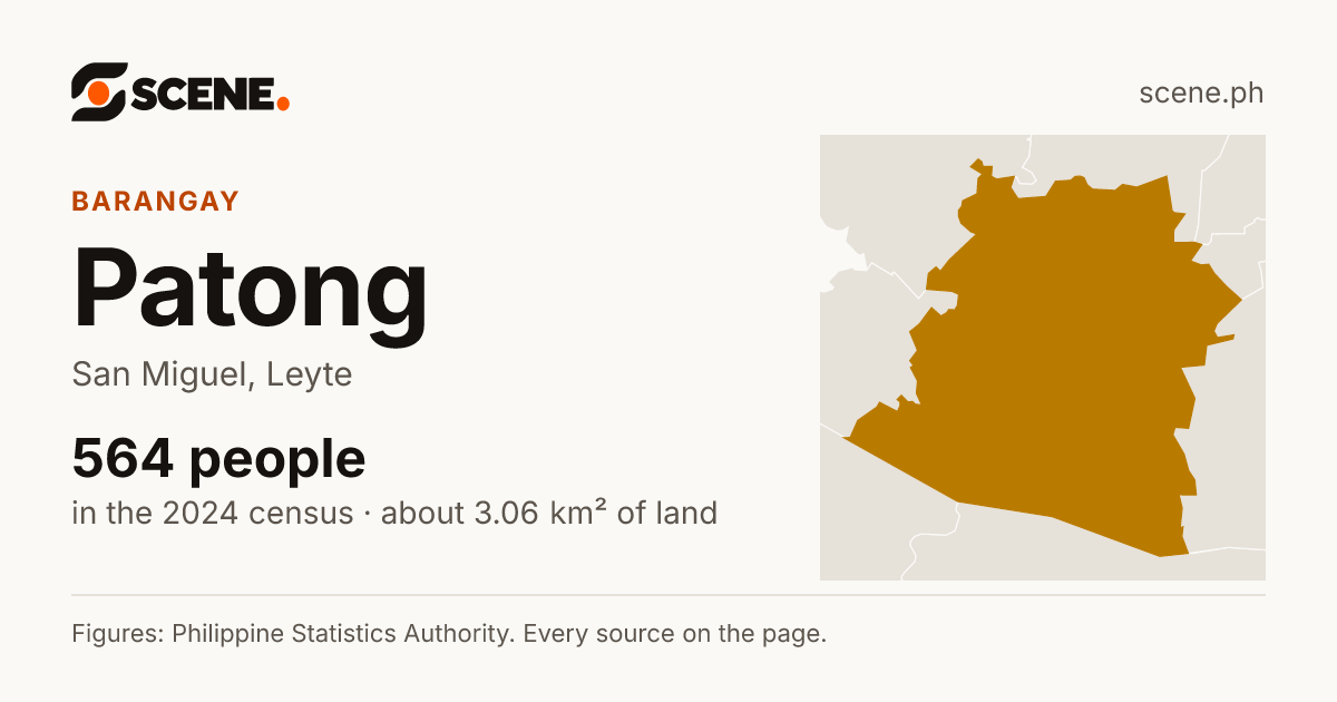 Patong, San Miguel, Leyte, barangay: 564 people in the 2024 census