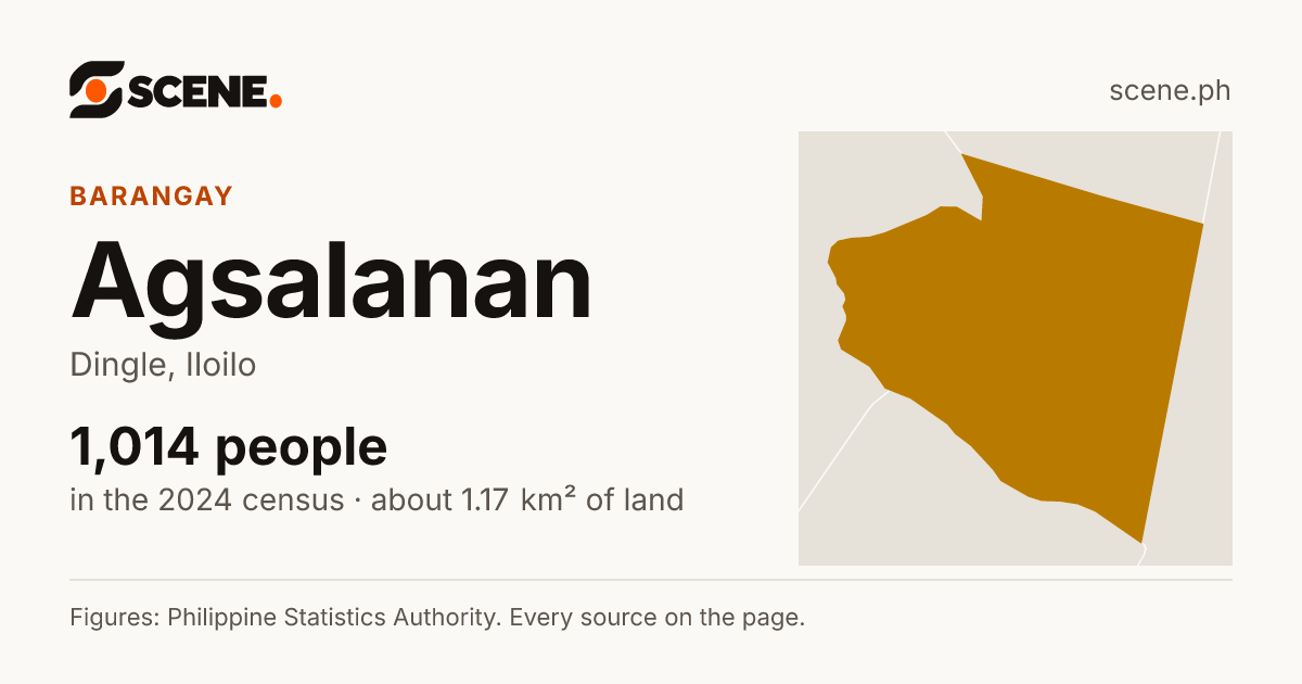 Agsalanan, Dingle, barangay: 1,014 people in the 2024 census