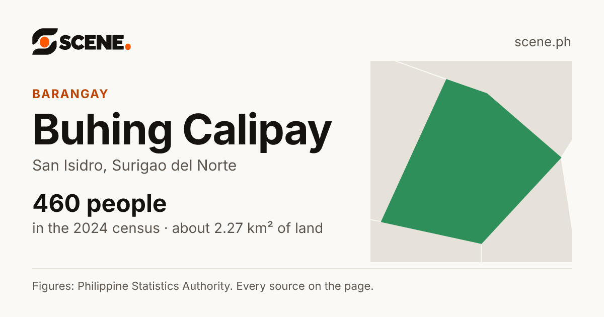 Buhing Calipay, San Isidro, barangay: 460 people in the 2024 census