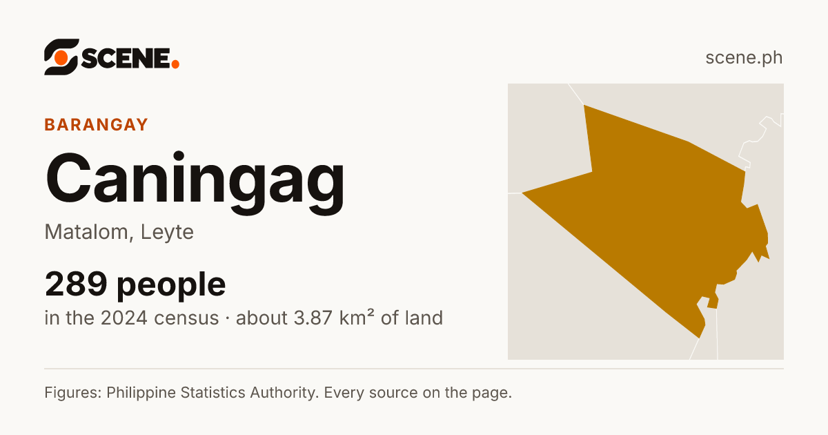 Caningag, Matalom, barangay: 289 people in the 2024 census