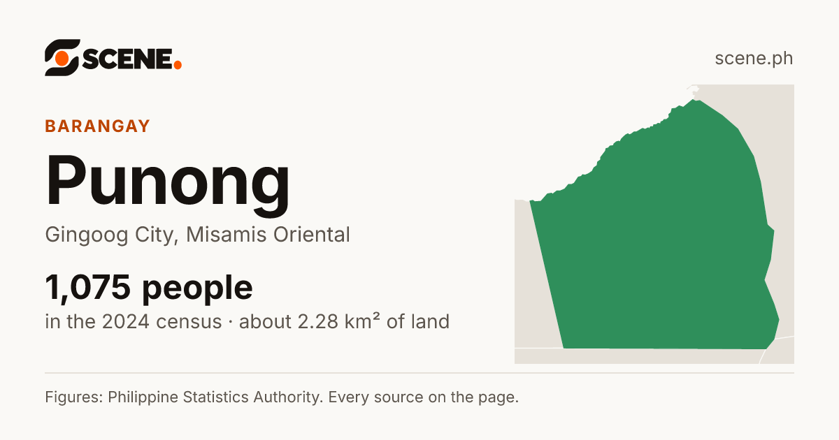 Punong, Gingoog City, barangay: 1,075 people in the 2024 census